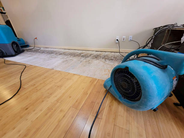 Professional Water Damage Repair technician working in La Crescenta, CA
